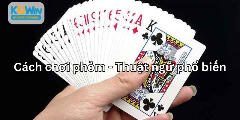 Cách chơi phỏm - một số thuật ngữ